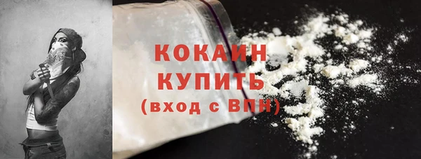 твердый Гусь-Хрустальный