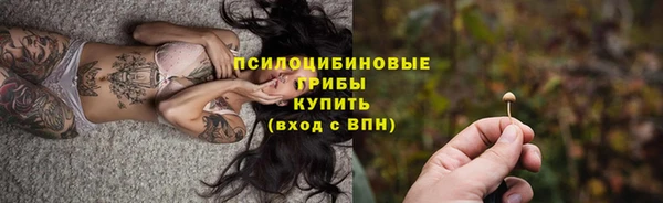 твердый Гусь-Хрустальный