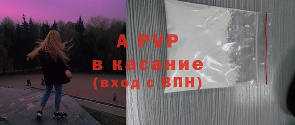 дмт Гусев