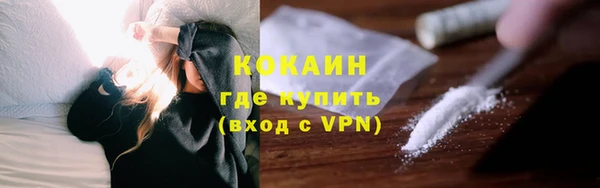 твердый Гусь-Хрустальный