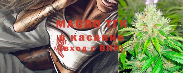 дмт Гусев