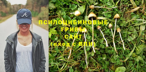 твердый Гусь-Хрустальный