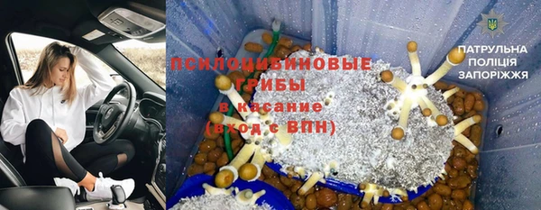 дмт Гусев