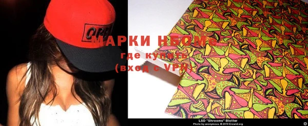дмт Гусев