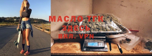 твердый Гусь-Хрустальный