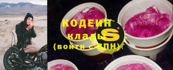 твердый Гусь-Хрустальный