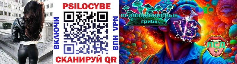 Галлюциногенные грибы мицелий  Купить где  Питкяранта 